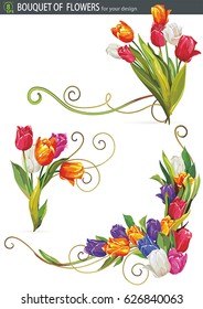 Elegant decorative tulip flowers, design elements. Set of mixed colors bouquets isolated on white background, spring illustration