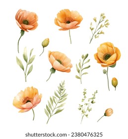 Elegant decorative vector poppy flowers and leaves in watercolor style, design element. Floral decoration for wedding invitations, greeting cards, banners. 