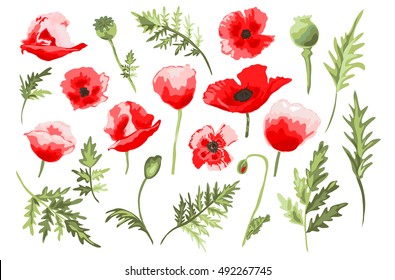 Elegant decorative vector poppy flowers and leaves in watercolor style, design element. Floral decoration for wedding invitations, greeting cards, banners. All elements are editable