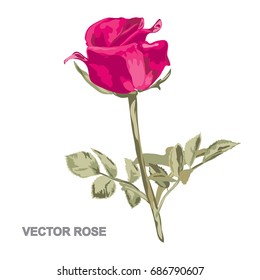 Elegant decorative vector rose flower in watercolor style, design element. Floral decoration for wedding invitations, greeting cards, banners. All elements are editable