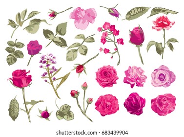 Elegant decorative vector rose flowers and leaves in watercolor style, design element. Floral decoration for wedding invitations, greeting cards, banners. All elements are editable.