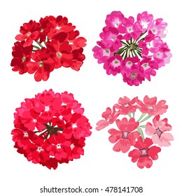 Elegant decorative vector verbena flowers in watercolor style, design elements. Floral decoration for wedding invitations, greeting cards, banners. All elements are editable