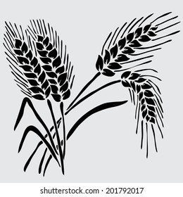 Elegant decorative wheat, design element. Floral decoration for vintage invitations, greeting cards, banners.