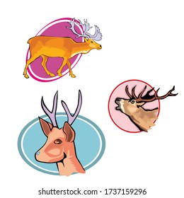 Elegant deer. Vector isolated animal vector illustration.
