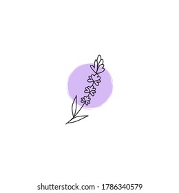 Elegant delicate vector illustration with a sprig of lavender. Disan for print, icon, logo, background, postcard, poster. Vector illustration