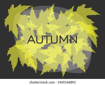 elegant design, black background, autumn leaves, summer leaves