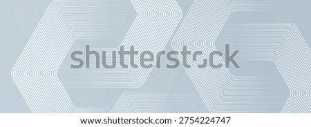 Elegant Design  hexagon lines on gray background. Geometric stripe line abstract