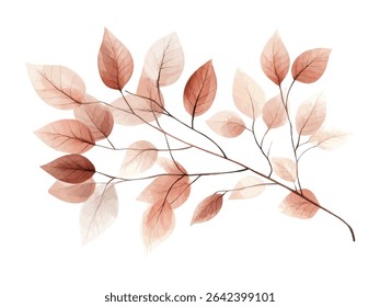 Elegant digital illustration of a brownish-red leafy branch with transparent leaves on white background, perfect for nature-themed designs.