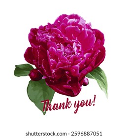 Elegant Digital Watercolor Peony with Thank You Message . Vibrant Floral Illustration for Greeting Cards and  Prints