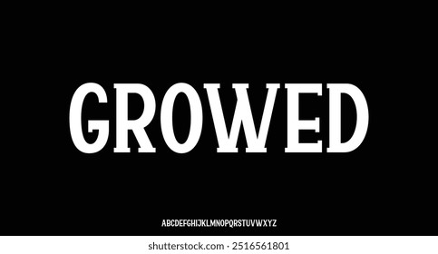 Elegant display font vector design suitable for logo, logotype, headline, poster and many more