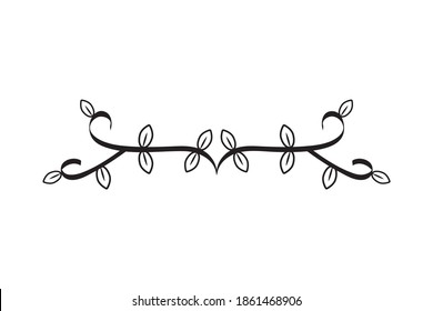 elegant divider with arrows icon vector illustration design
