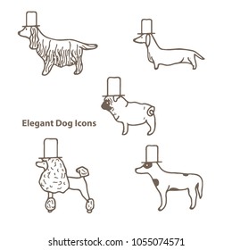Elegant dog icon. Pets. Line Vectors.
