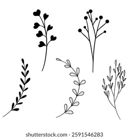 Elegant doodle collection of leaves and branches showcasing nature's delicate beauty and diversity
