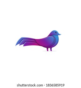 Elegant dove bird colorful logo design