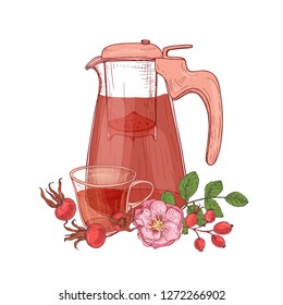 Elegant drawing of glass transparent pitcher with strainer, cup of tea, dog rose branch with flowers and leaves isolated on white background. Tasty beverage. Vector illustration in antique style.