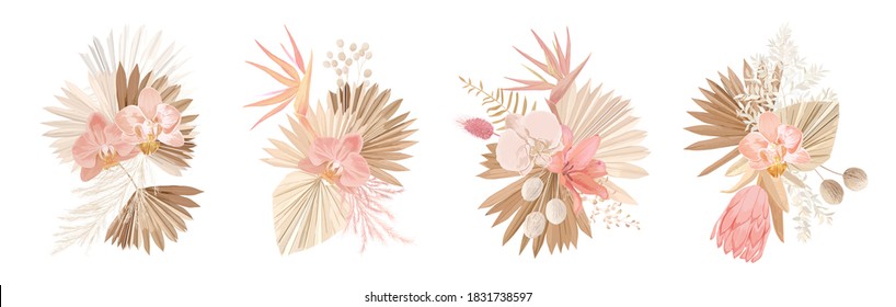 Elegant Dry flowers, palm leaves, pale orchid, protea, eucalyptus, dried tropical leaves, floral elements.Trendy winter, autumn wedding bouquets, vintage decoration. Vector isolated illustration set