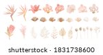 Elegant dry protea flower, tropic palm, pale orchid, eucalyptus, dried tropical leaves, floral elements. Trendy winter, autumn wedding bouquets, vintage decoration. Vector isolated illustration set