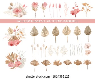 Elegant dry protea flowers, palm leaves, pale orchid, eucalyptus, dried tropical leaves, floral elements.Trendy winter, autumn wedding bouquets, vintage decoration. Vector isolated illustration set