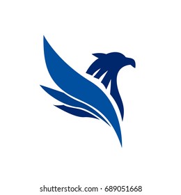 elegant eagle fly
