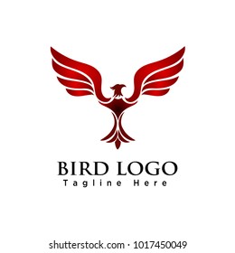 elegant eagle flying bird logo