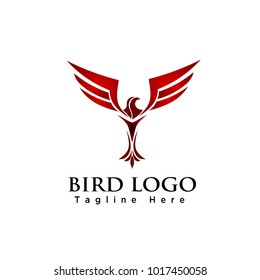 elegant eagle flying bird logo