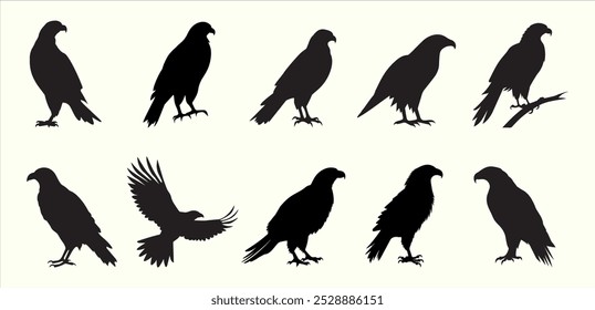  Elegant Eagle Silhouette Artwork Design