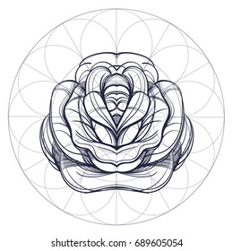 Elegant element of a stylized flower with smooth lines. Stylized floral element for design.