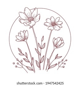 Flores gamomiles lineales y elegantes