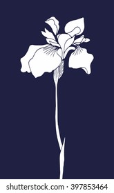 Elegant engraving orchid for bookmarks, cards and gifts. Vector Illustration