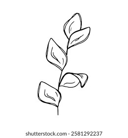 Elegant Eucalyptus Branch: Black and White Line Art Illustration