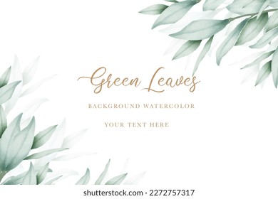 elegant eucalyptus leaves background design 
