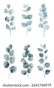 Elegant  eucalyptus leaves illustration with soft green and blue hues. Perfect for botanical designs, invitations, and stylish decor.A delicate, nature inspired artwork for creative projects.