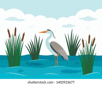 An elegant European heron stands in a pond with reeds and river fish. Landscape pond. flat vector illustration