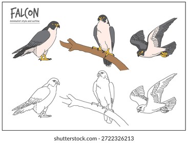 Elegantes ilustraciones de halcón mostradas en múltiples poses que muestran detalles y estilo en un diseño minimalista. Concepto de Naturaleza