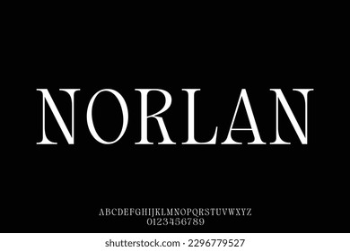Elegant and fancy serif display font vector