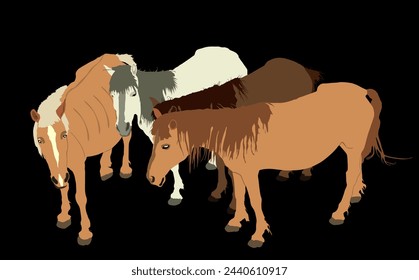 Elegant farm horses family vector illustration isolated on black background. Herd of horse in stall. Hippodrome sport event jet set entertainment. Noble animal pet.