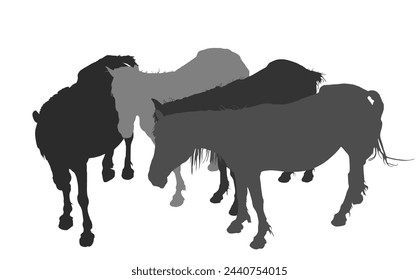 Elegant farm horses family vector silhouette illustration isolated on white background. Herd of horse in stall. Hippodrome sport event jet set entertainment. Noble animal pet. Shape horses shadow.