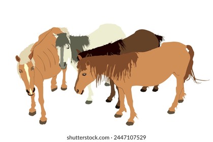 Elegant farm horses family vector illustration isolated on white background. Herd of horse in stall. Hippodrome sport event jet set entertainment. Noble animal pet.