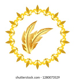 elegant feather cartoon