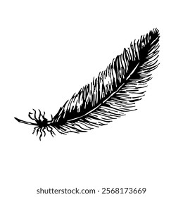 Elegant feather design for first communion elements and religious celebrations. Hand drawn. Black and white vector illustration.