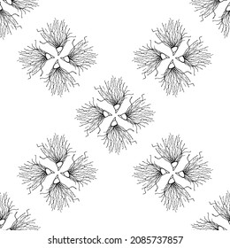 Patrón elegante de plumas. Se utiliza la escala en blanco y negro. Se puede usar como fondo, papel envolvente, patrón en cuadernos, en tela.