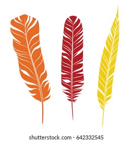 Elegant feathers set isolated on white background. Element for your design, decoration and artwork. Silhouette of three plumes different colors. Orange, red and yellow plumelets. Vector.