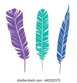 Elegant feathers set isolated on white background. Element for your design, decoration and artwork. Silhouette of three plumes different colors. Violet, turquoise and blue plumelets. Vector.