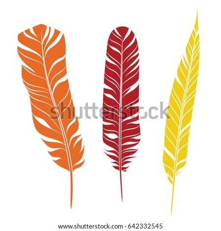 Elegant feathers set isolated on white background. Element for your design, decoration and artwork. Silhouette of three plumes different colors. Orange, red and yellow plumelets. Vector.