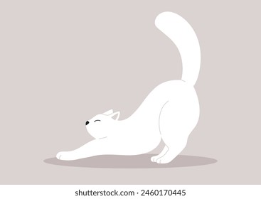 Elegant Feline Stretching in a Minimalist Realm, A graceful white cat extends into a stretch against a simple backdrop