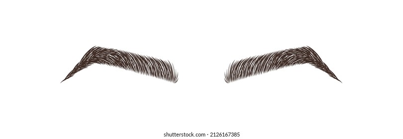 Elegant female eyebrows shape. Brow master logo. Permanent make-up and microblading. Linear vector Illustration in trendy minimalist style.