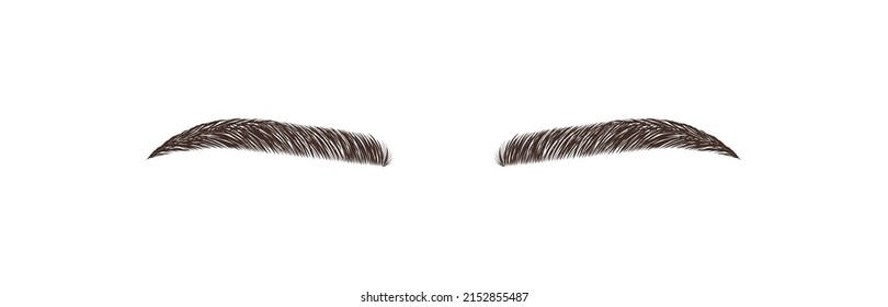 Elegant female eyebrows shape. Brow master logo. Permanent make-up and microblading. Linear vector Illustration in trendy minimalist style.