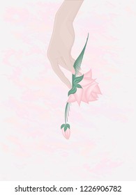 Elegant female hand holding a rose with a bud - pink abstract background - vector