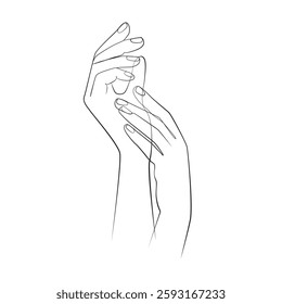 Elegant female hands one line drawing on white isolated background