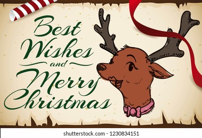 Elegant female reindeer in hand drawn style over a scroll with Christmas greetings, decorated with ribbons and candy cane.